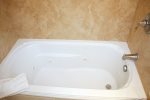Bathroom Shower with Jet Tub